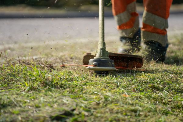10 raisons de choisir des services d'entretien d'extérieurs à Vedène